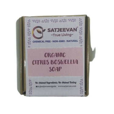 https://cdn.shopify.com/s/files/1/1857/6931/products/LL8tnZ5CMB.jpg?v=1705994070